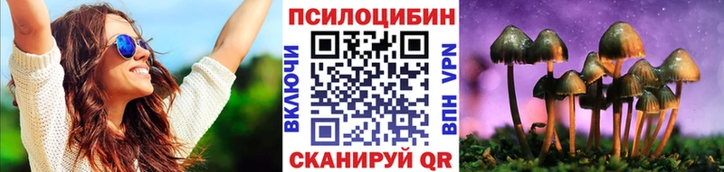 Псилоцибиновые грибы ЛСД  сколько стоит  Александровск 